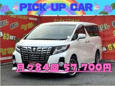 ALPHRD　アルファード　250S　【総合評価優良車】　✨ワンオーナー✨　8人乗りモデル！　トヨタ純正SDナビ🗾ワンセグTV📺Bluetoothオーディオでスマホから音楽再生🎶　駐車時に安心のクリアランスソナー&バックカメラ👀　荷物の出し入れなど便利な両側スライドドア！左側電動スライドドア😊　✨車検2年付✨　🌜TOKYO店専用HPにて更新中❗ carlifegroup.tokyo.jpで検索🕵️‍♂️🌛《1年保証付》