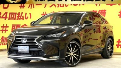 LEXUS レクサス　NX200t　Ｉパッケージ 【総合評価優良車】【カスタム】純正ＳＤナビ🗾DVD,Blu-ray📀Ｂｌｕｅｔｏｏｔｈ🎵📱📞フルセグＴＶ内臓型📺走行中映像視聴可能👀LEDヘッドライト＆LEDフォグランプで夜間も明るく安全走行💡高速使用時も快適レーダークルーズコントロール&ビルドインETC装備付き🛣️レザーシート💺💎ダウンサス＆アネーロ22インチAW💎【車検2年付】TOKYO店専用HPにて更新中❗ carlifegroup.tokyo.jpで検索🕵️‍♂️🌛《1年保証付》