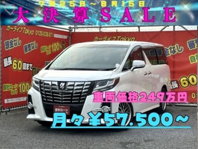 ALPHRD　アルファード　250S　【総合評価優良車】　✨ワンオーナー✨　8人乗りモデル！　トヨタ純正SDナビ🗾ワンセグTV📺Bluetoothオーディオでスマホから音楽再生🎶　駐車時に安心のクリアランスソナー&バックカメラ👀　荷物の出し入れなど便利な両側スライドドア！左側電動スライドドア😊　✨車検2年付✨　🌜TOKYO店専用HPにて更新中❗ carlifegroup.tokyo.jpで検索🕵️‍♂️🌛《1年保証付》