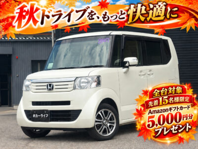 N-BOX　G・Lパッケージ　4WD
