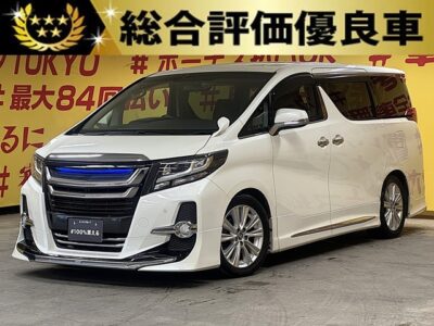 ALPHARD アルファード　２５０Ｓ　Ａパッケージ　【総合評価優良車】【カスタム】　💎大人気ＢＩＧミニバン💎モデリスタフルエアロ＆グリル＆マフラー＆ＴＥＩＮ製車高調装着でインパクト抜群の1台🚗✨アルパイン1０インチメモリーナビ🛣️地デジフルセグTV📺ＤＶＤ📀Ｂｌｕｅｔｏｏｔｈ📱🎶両側パワースライドドア・ワンタッチオープナー付で乗り降り楽々😍✨アルパインフリップダウンモニター付でリアのエンタメも充実🌈クルーズコントロールで長距離は楽々追尾運転🚗✨７人乗り・レザー調シートカバー付のキャプテンシート💺夜間も明るいLEDヘッドライト＆LEDフォグ🔦🌜TOKYO店専用HPにて更新中❗ carlifegroup.tokyo.jpで検索🕵️‍♂️🌛《1年保証付》